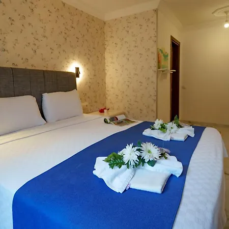 Flower 2 - Flower Patara 3*